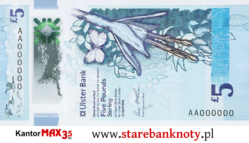 widok banknotu 