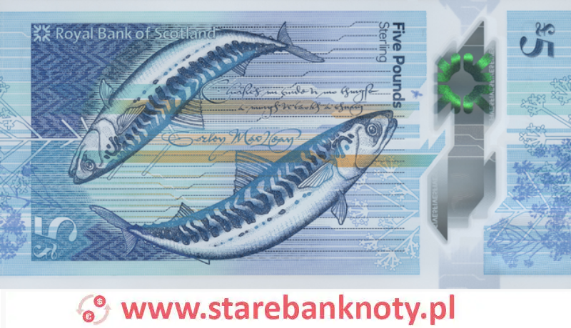 widok banknotu 